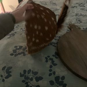 Taxidermy deer tail/rump